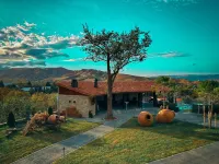 Chateau MephisKalaki Hotels in Kaspi