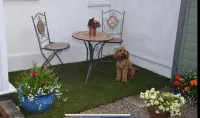 Cottage in Worcestershire - Wifi