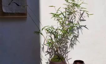 Washe Chinese Inn (Xijie Branch)