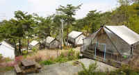 청양고운힐링글램핑 천장호 출렁다리 주변 호텔