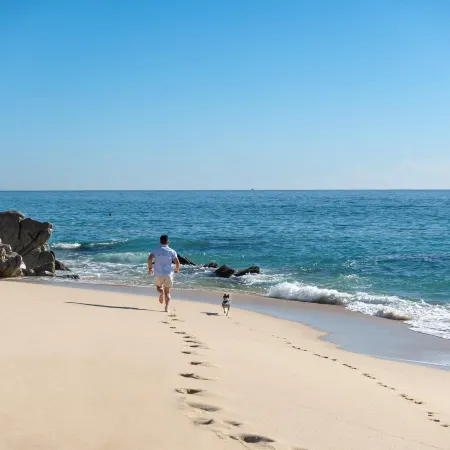 Mar del Cabo by Velas Resorts