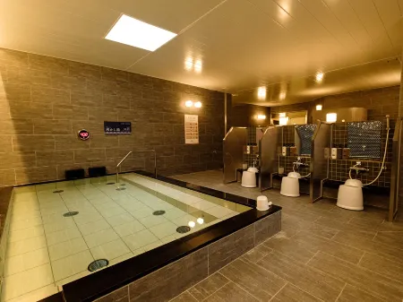 Tennen Onsen Matsuyama New Grand Hotel
