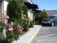 The Monterey Motel - Motels