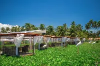 Crôa Mares Hotel - Cheap