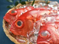 Seafood Restaurant ＆ Ryokan Yamani Hotel a Yokosuka