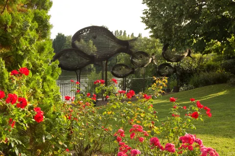 라 코트 상 자크