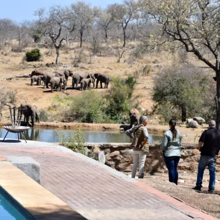 Milima Big 5 Safari Lodge