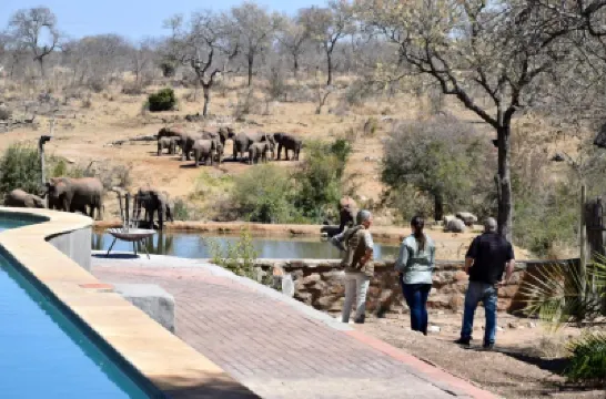 Milima Big 5 Safari Lodge Hotels in 