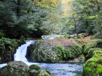 Shiroyamaso Các khách sạn ở Kikuchi