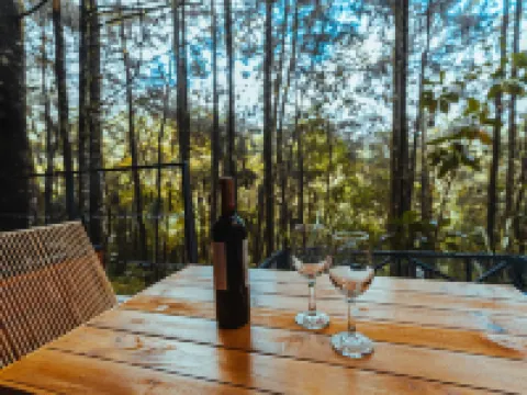 OCULTO REFUGIO DE BOSQUE Hoteles en Envigado