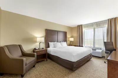 Comfort Inn & Suites Grinnell Near I-80 Hotels in 