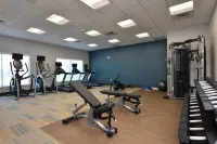 Holiday Inn Express & Suites SPRING - WOODLANDS AREA by IHG - Gym