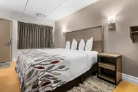 坦帕集市廣場 紅頂飯店