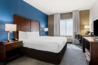 Comfort Inn & Suites Near Tinley Park Amphitheater فنادق في Tinley Park