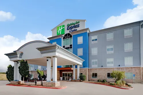 Holiday Inn Express & Suites DALLAS W - I-30 COCKRELL HILL by IHG