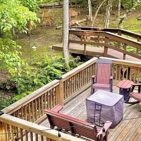 Cozy cabin sitting directly on multiple creeks for the most relaxing stay.