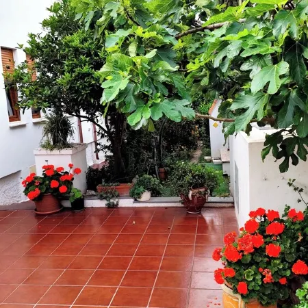 IN THE PARADISE OF SARDINIA NICE APARTMENT WITH SEA VIEW