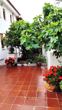 IN THE PARADISE OF SARDINIA NICE APARTMENT WITH SEA VIEW