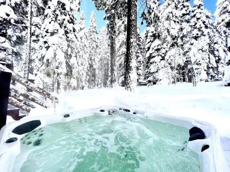 Luxe Tahoe Cabin - Midcentury Modern CLOSE to Lake, Palisades, Edge of Forest