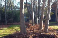 Romantic Forest Escape at The Beeches Olinda Accommodation