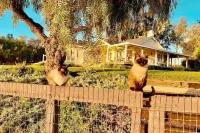 Anavo Farm - A Magical Farmhouse with Views & Animals Galore! Hotel in zona California Horse Center on Flag Is Up Farms
