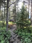 Cabin in the Woods.