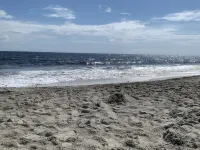 Newly Renovated, Dog Friendly, Fully Fenced Back Yard, Easy Beach Access!