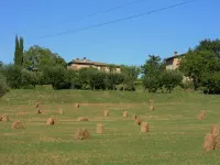Independent house in the hills of the Sienese countryside