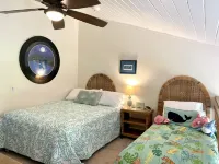 Maui Turtle Condo - Near Kaanapali Beach/Napili Bay, Ocean Front, Turtles