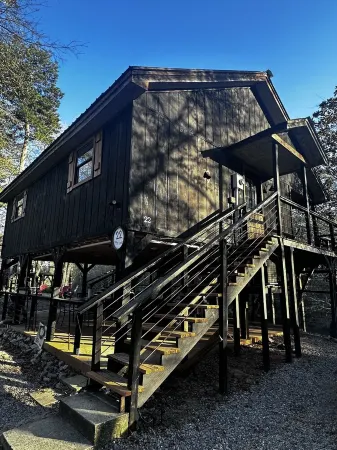 Creek-side getaway, big deck, easy access to the city while being off the grid!