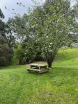 Howqua House - a homely gem close to the lake.