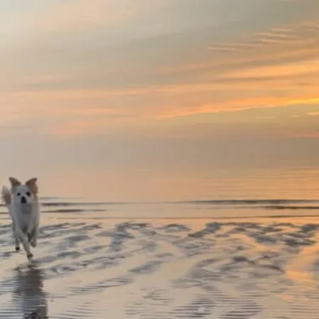 The Mermaid Inn Beach Cottage, Seabrook, NASA, Kemah, Pet Friendly!