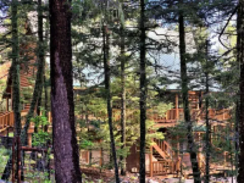 Secluded, Mystic Mountain Lodge w/cinema/arcade rm