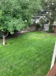 Sunny Days! Room for everyone and Pet-Friendly! - 2-Star