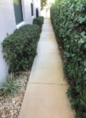 Palm Coast Cozy apartment<br>