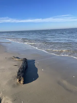 Vacation at the Wadden Sea, child and animal-friendly vacation at the nature reserve