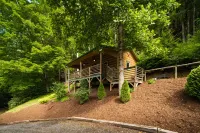 Relaxing cabin getaway only minutes from the Blue Ridge Parkway. Pet friendly!