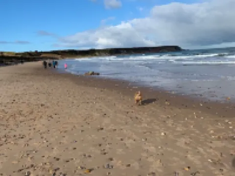 86 Seatown Cullen Moray Hotels in Cullen