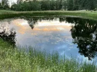 Dream Ranch ( Baghe Arezoo)