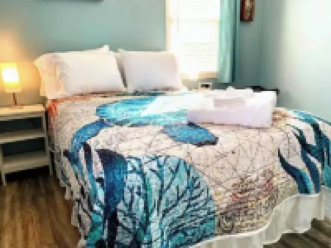 Cozy ranch, minutes from both historic downtown Savannah and Tybee Beaches. Hotels in Thunderbolt