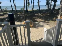 BAYHAMAS✌️❤️ Beachfront Private 3 Bedroom Home White Stone-Sauna-Dock