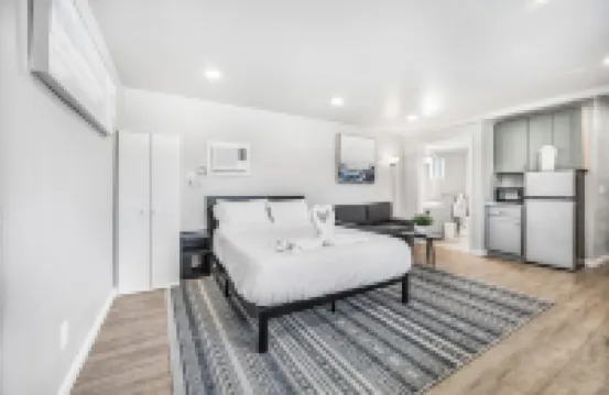 Newly Remodeled Apartment 1