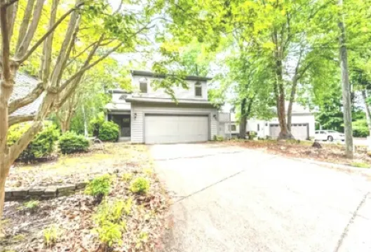 Urban Woodland at High Point