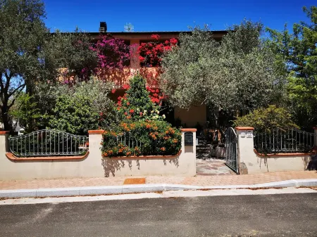 Duplex house with garden