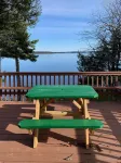 South Twin Lake Cabin  - Turkey Tail