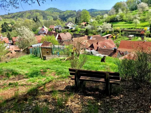 NEWLY DESIGNED HOLIDAY HOME IN THE HEART OF THE SOUTHERN PALATINATE