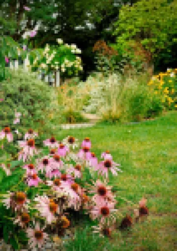 Centrally located, a Beautiful Landmark House for an ideal Family Getaway! Hoteles en 