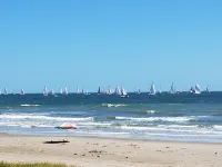 The Vin at Hattie's Place Too, the Best Place to Find with a Click, That's it!