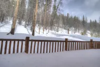Luxury Cabin - views, location, perfect for families, 4 miles from Breckenridge