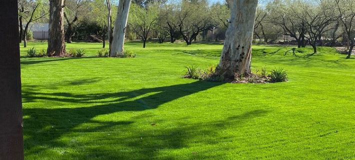 3- Acre Privately Gated Ranch Heated Pool, Outdoor Living Hotels in Phoenix